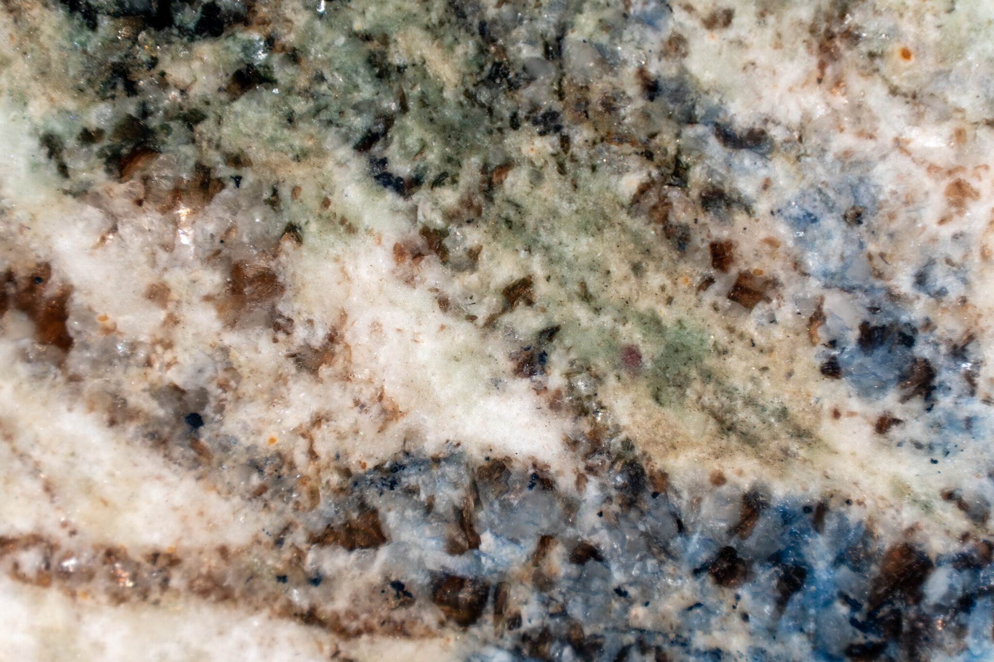 imgi_103_Carnaval-MOnet-BLK-35932-1-2048x1365